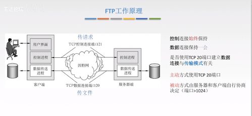 計算機網絡應用層核心技術 從C/S到P2P，從DNS到HTTP